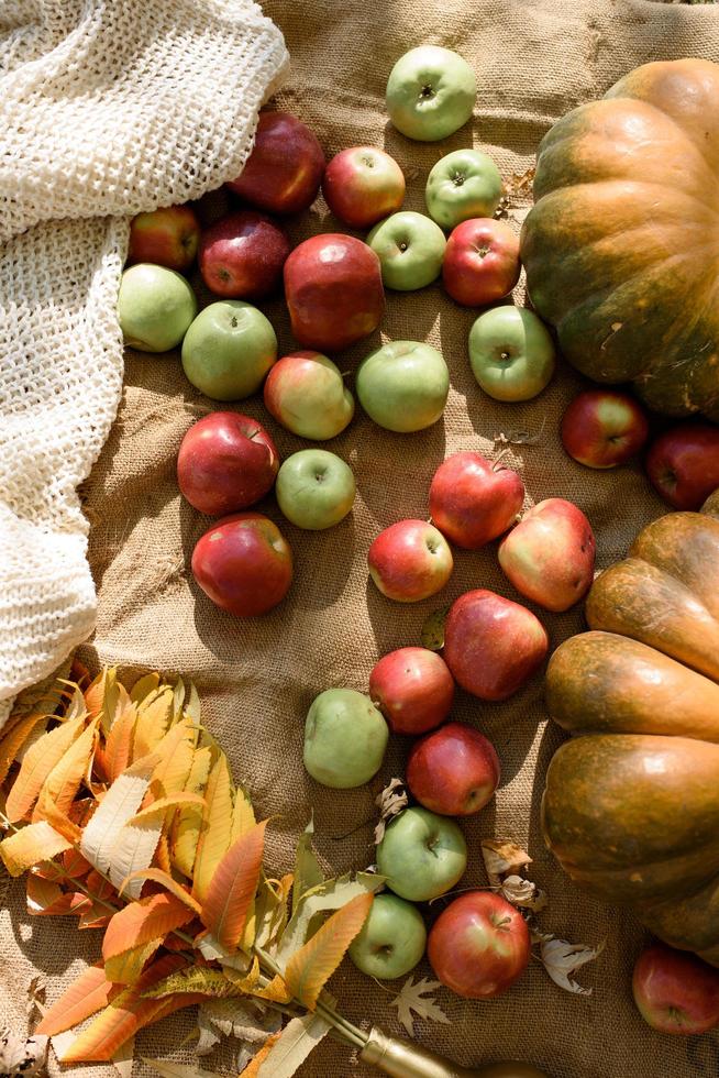 décor d'automne dans le parc. citrouilles et pommes rouges se trouvant dans une boîte en bois sur fond d'automne. photo