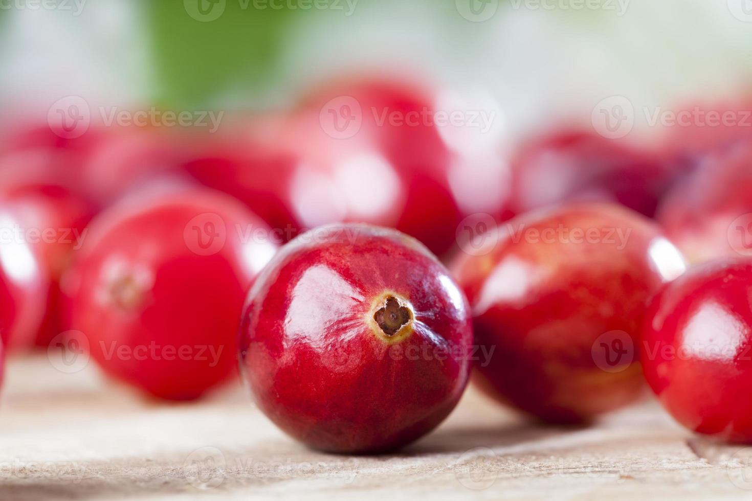 canneberges rouges mûres divisées sur la table, canneberges maison photo