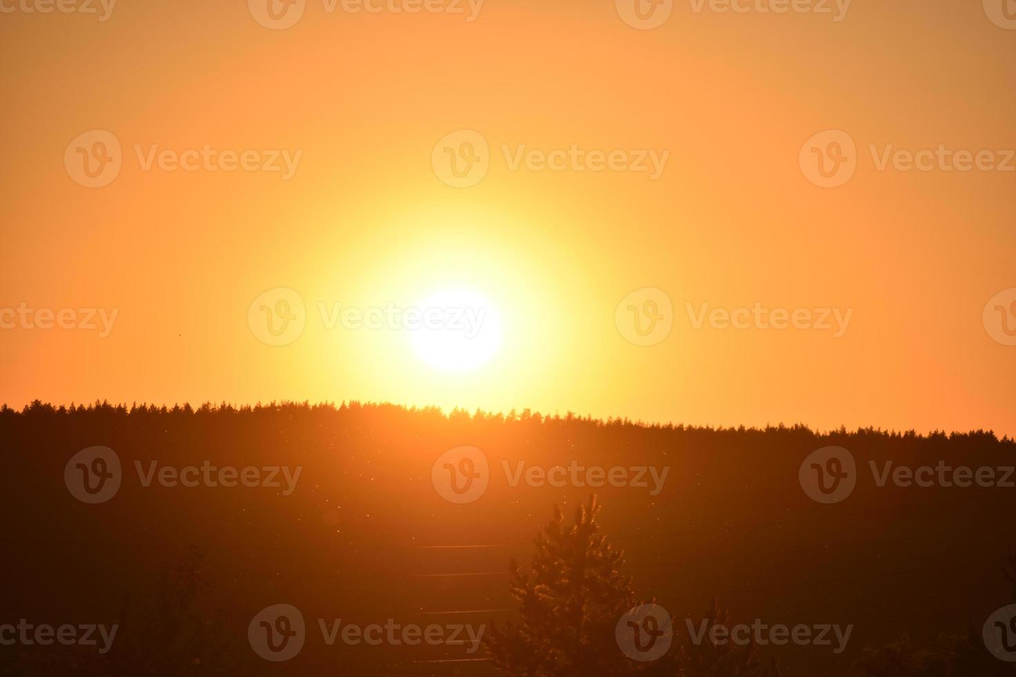 une soirée de coucher de soleil jaune-rose sur fond de forêt avec un cercle de soleil et de branches d'arbres. photo