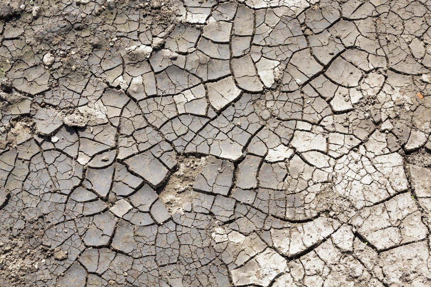 sol fissuré, gros plan photo