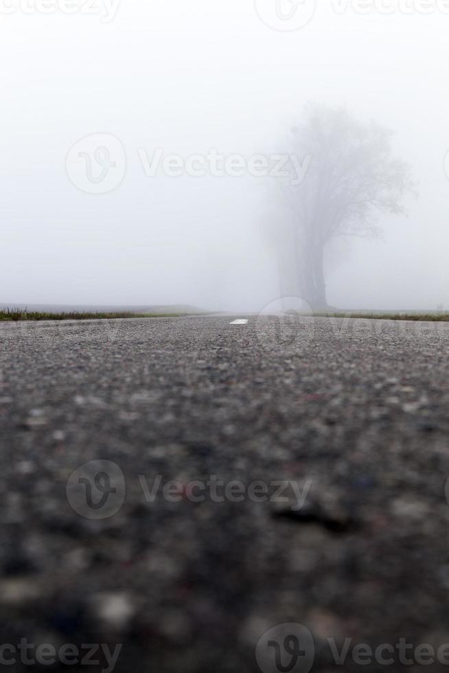 route goudronnée dans le brouillard photo