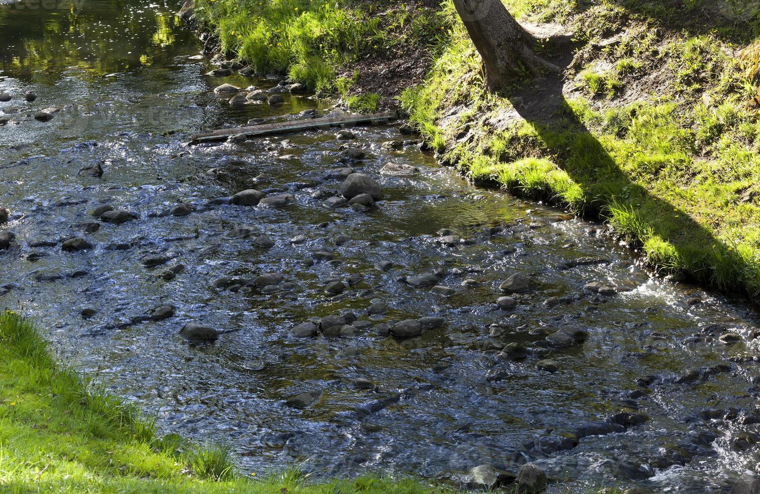 pierres dans l'eau photo