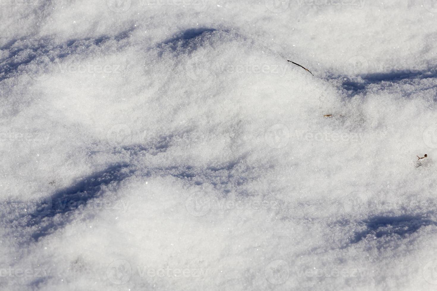 après une chute de neige, neige photo