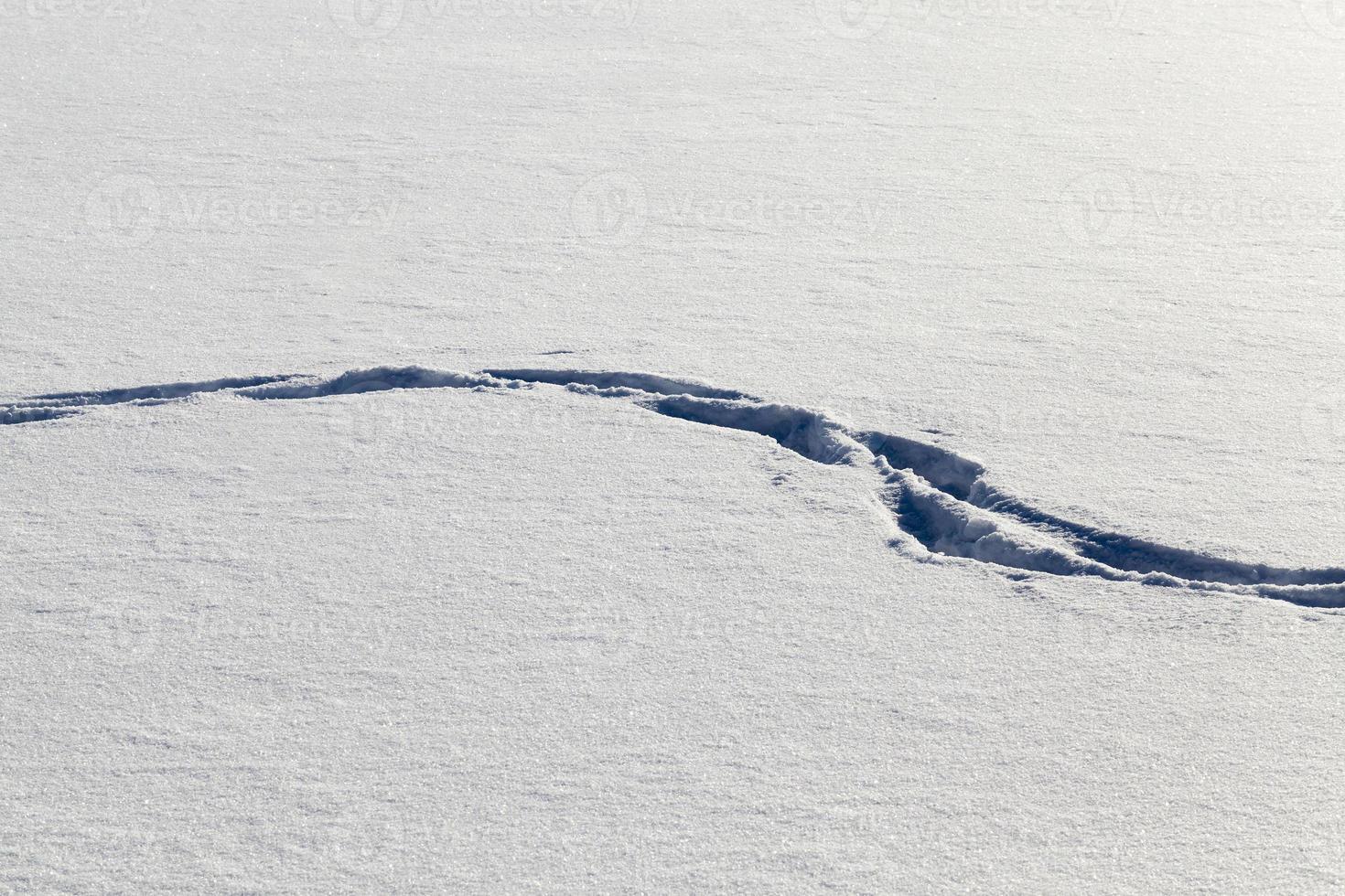 traces d'une personne photo