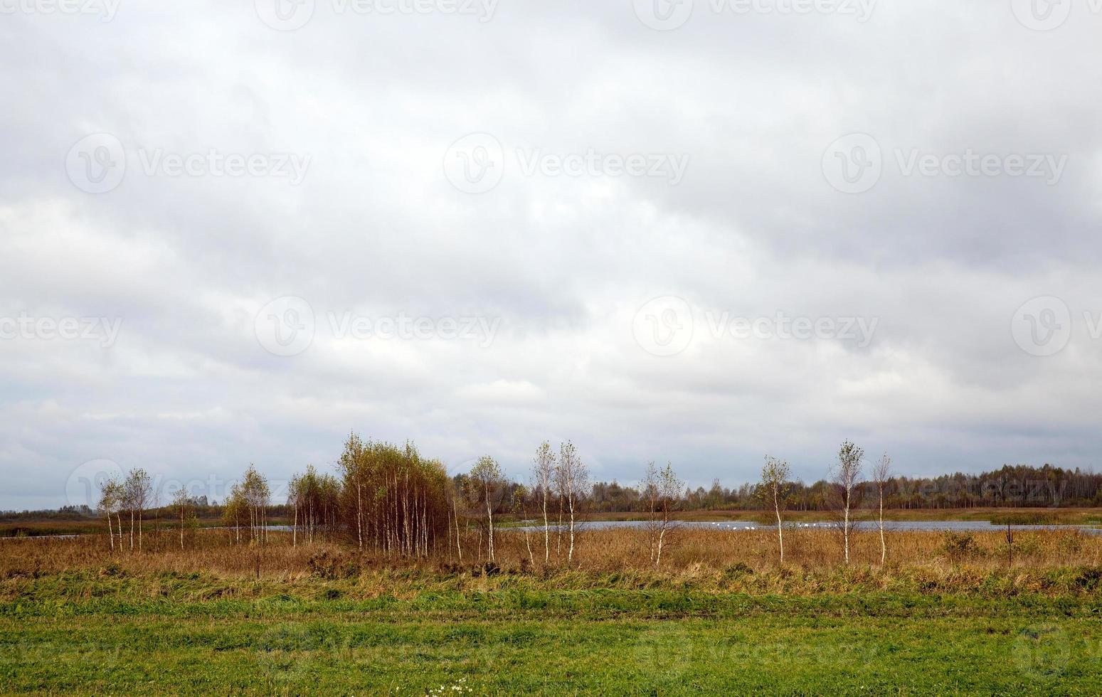 paysage d'automne, forêt photo