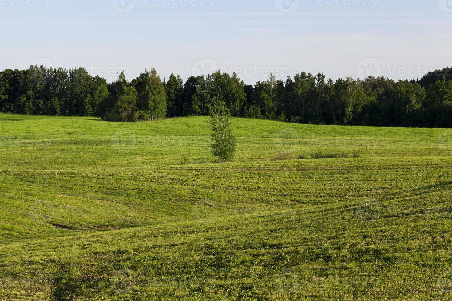 aube sur le terrain photo