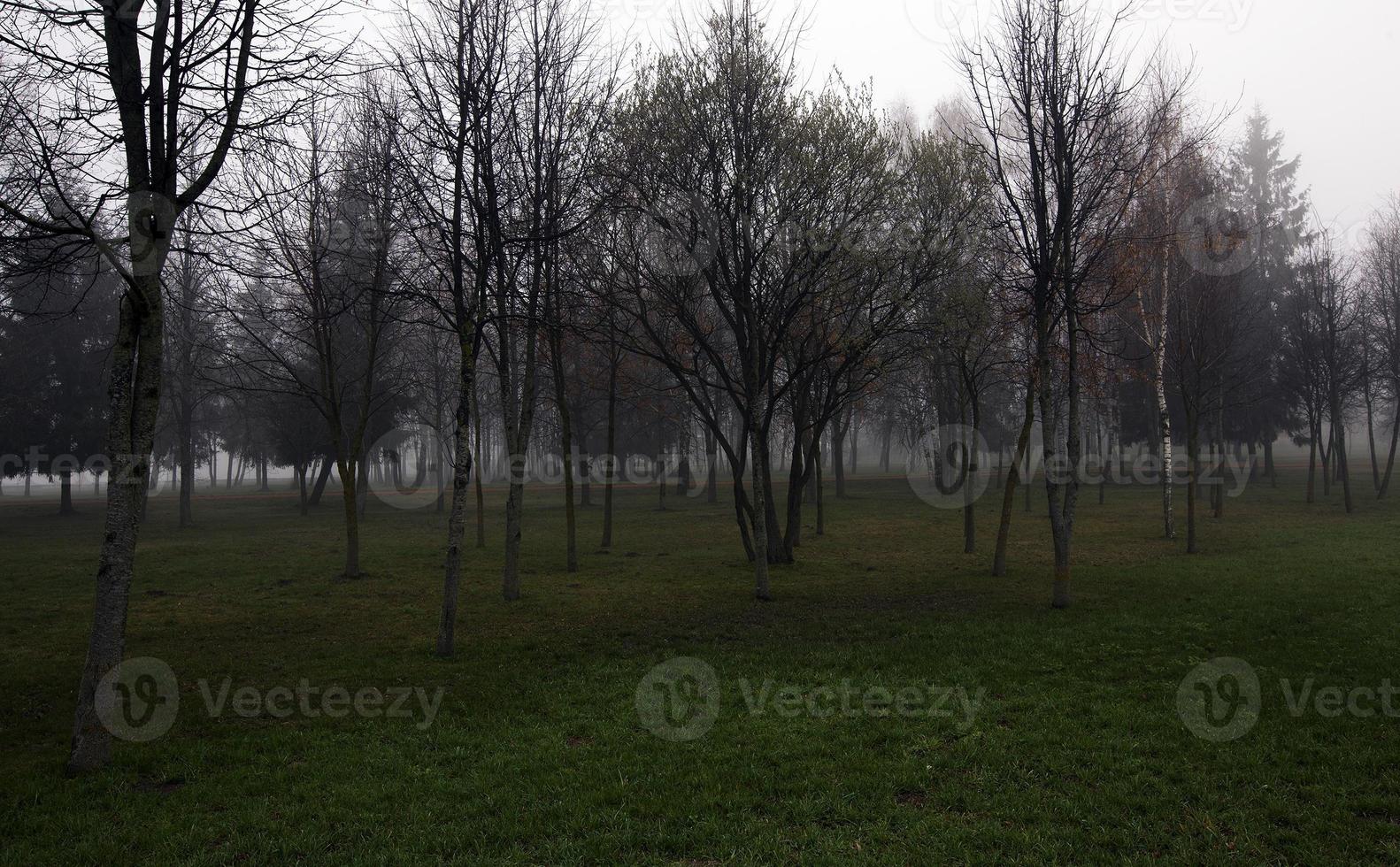 parc d'automne, matin photo