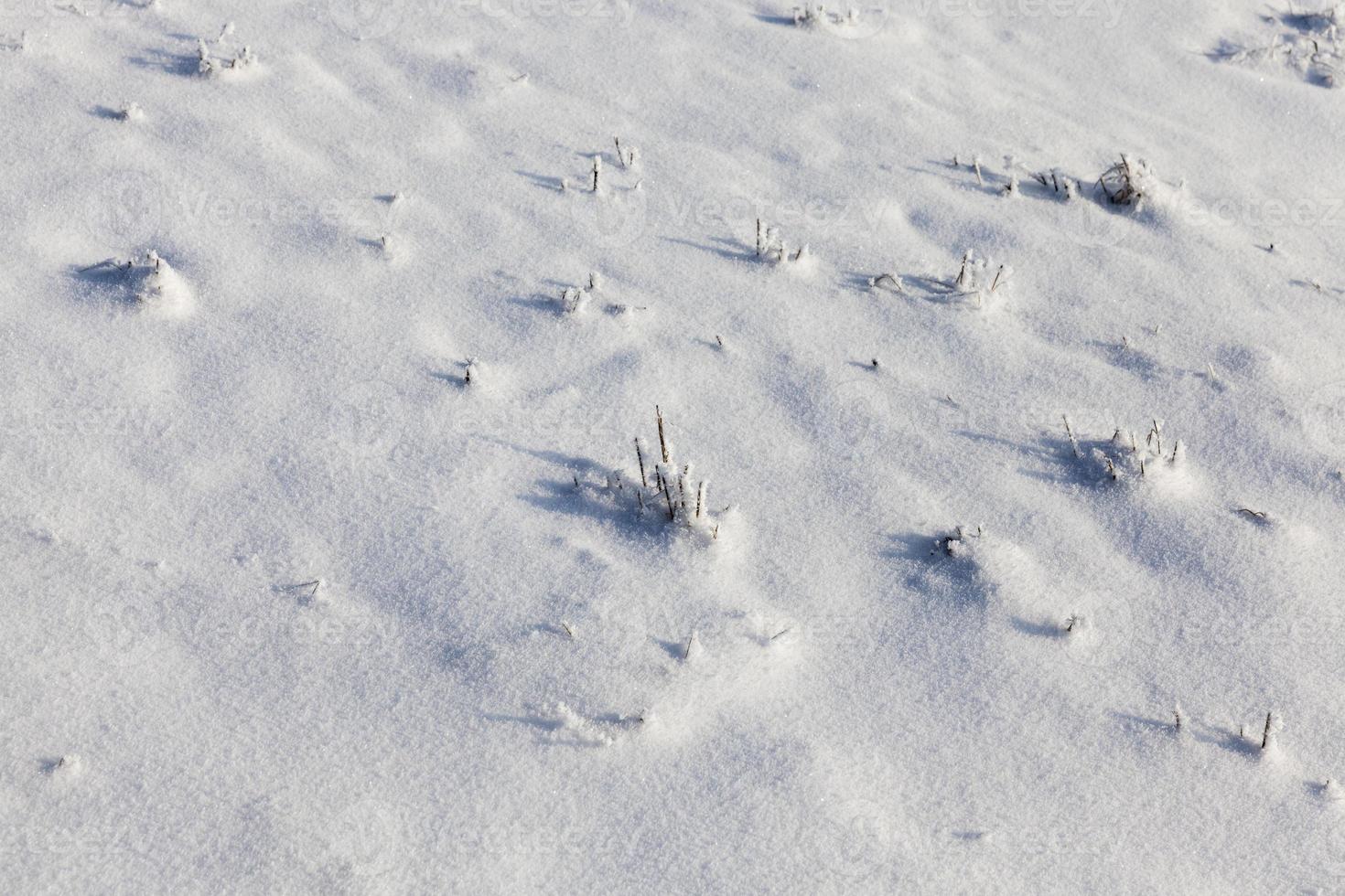 temps froid d'hiver après les chutes de neige photo