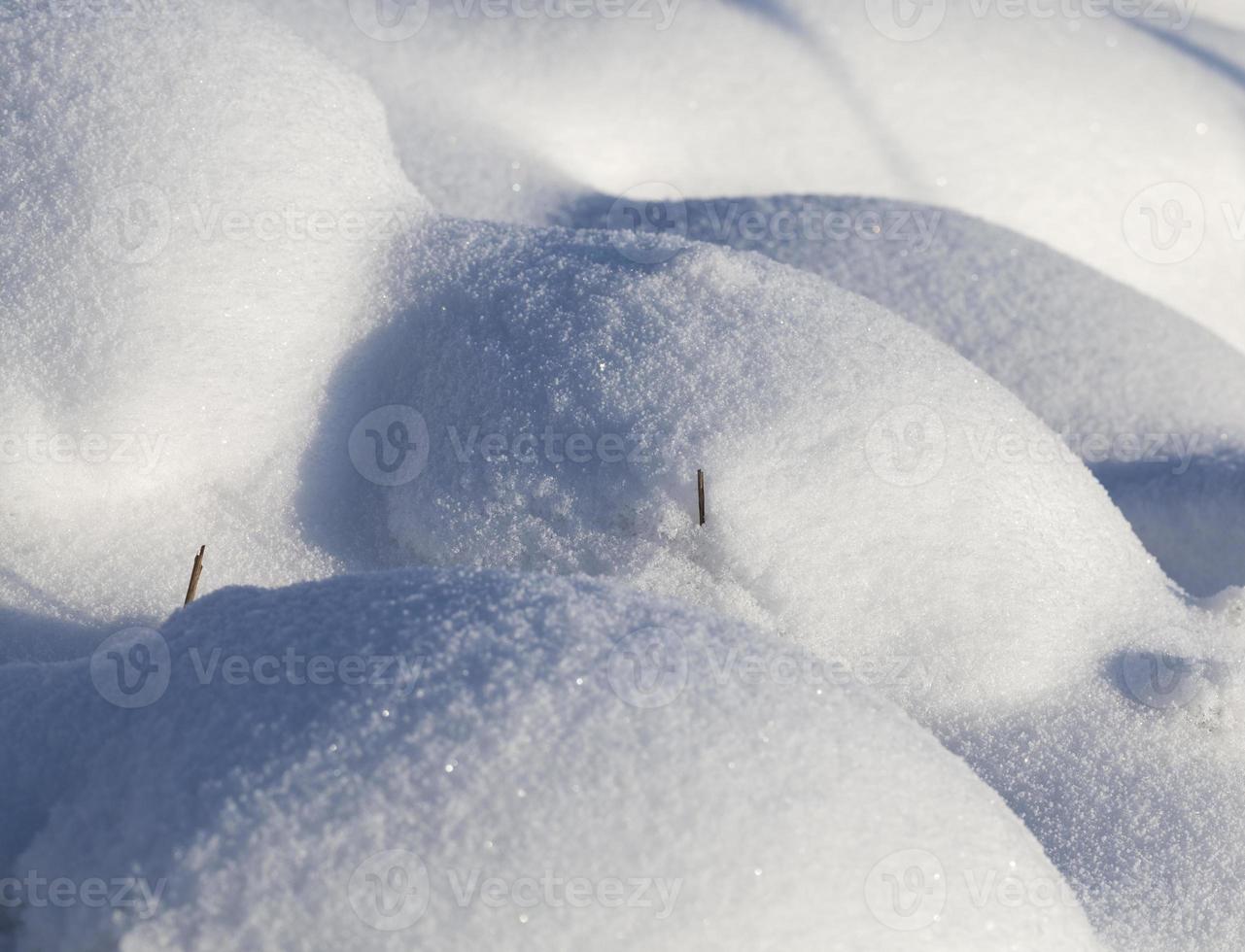 neige en hiver gelée et froide, nature après les chutes de neige photo