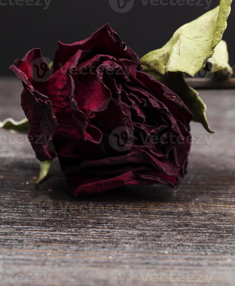 rose rouge séchée sur une planche de bois noire photo