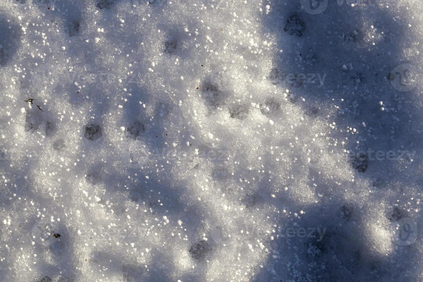 heure d'hiver de l'année, photo