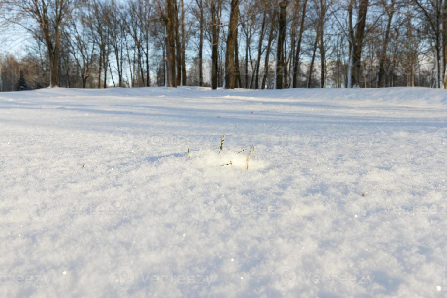 heure d'hiver, gros plan photo