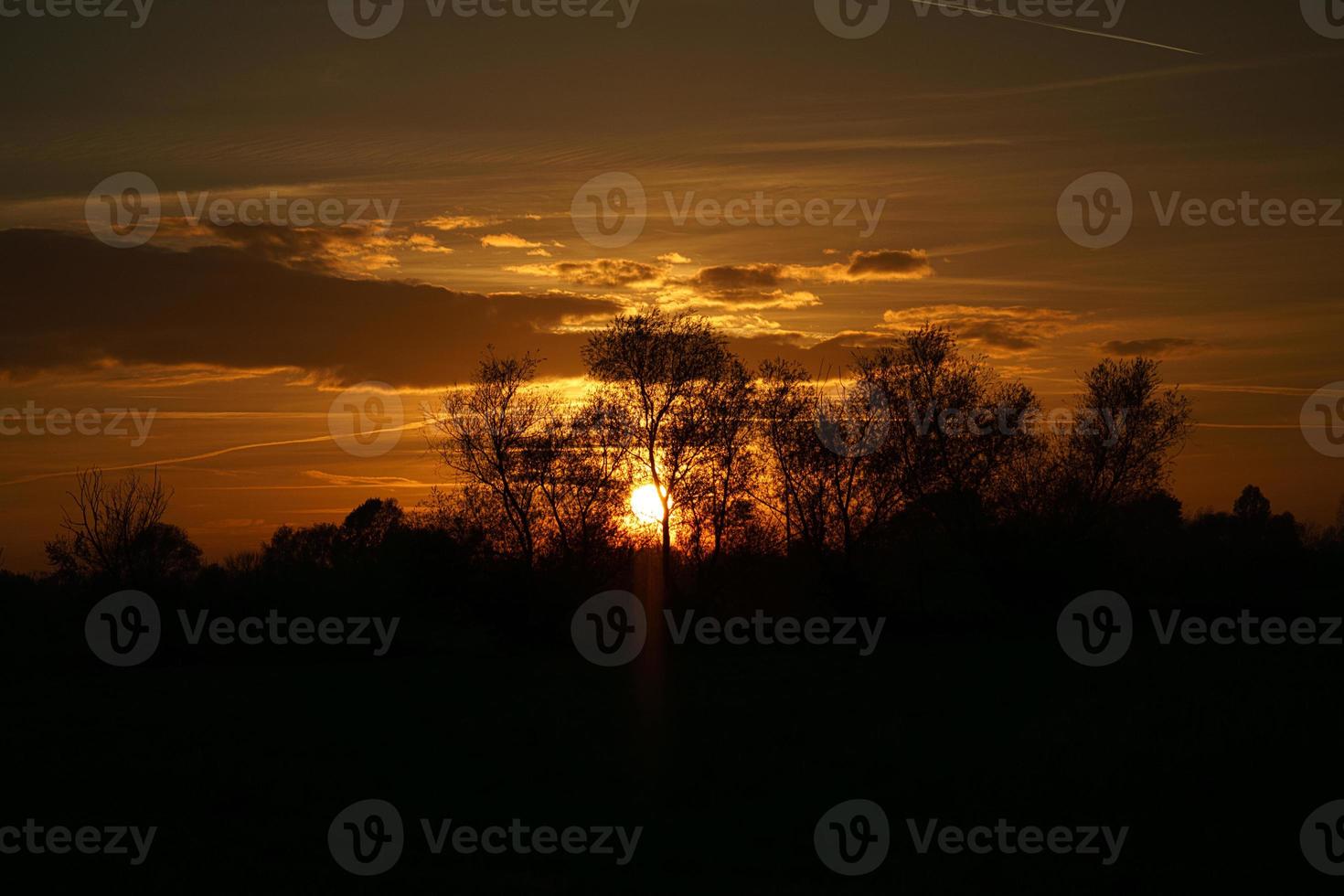 coucher de soleil avec ciel brûlant derrière les arbres. photo