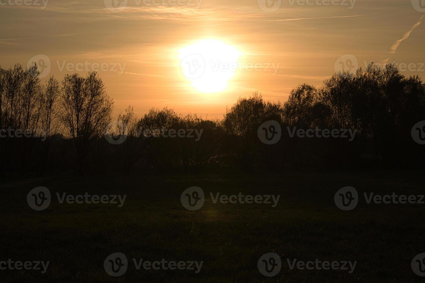 soleil couchant à la périphérie de berlin. oiseaux à l'horizon, le ciel semble brûler photo