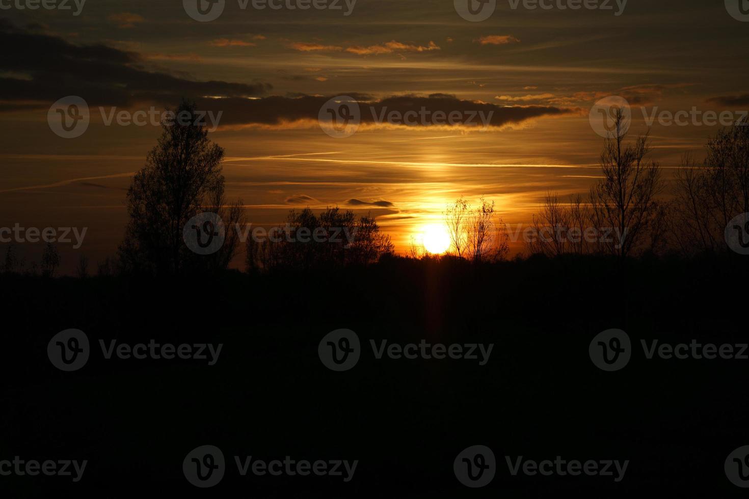 coucher de soleil avec ciel brûlant derrière les arbres. photo