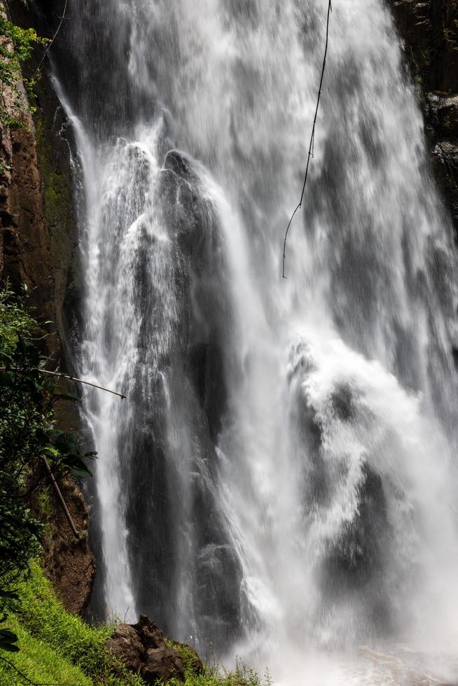 une cascade naturelle dans une grande forêt au milieu d'une nature magnifique. photo