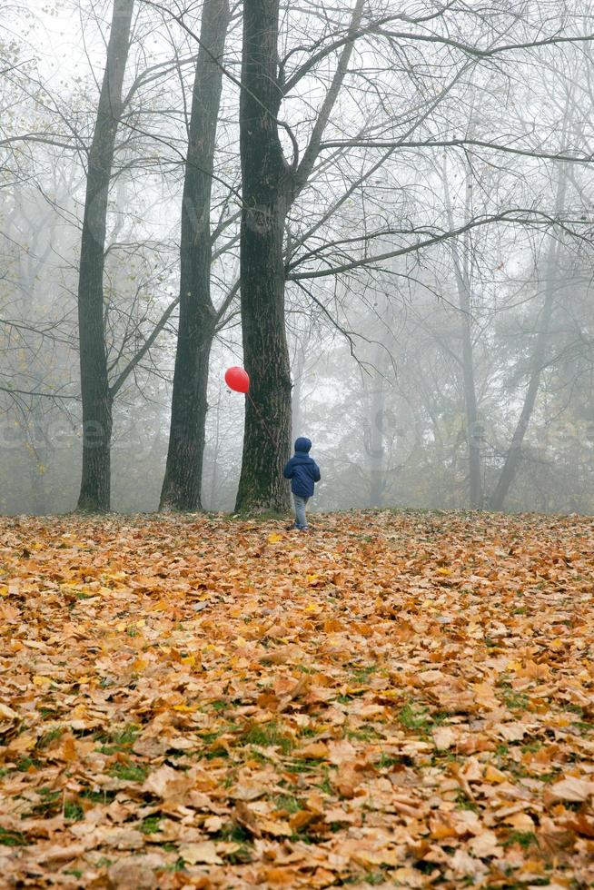 parc d'automne et garçon photo