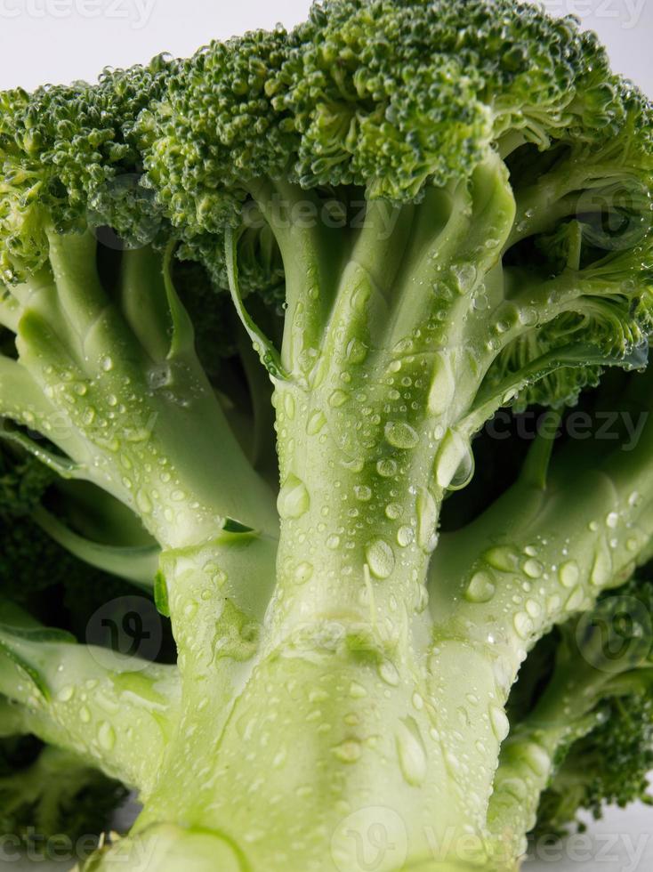 brocoli juteux avec des gouttes d'eau sur la tige. photo