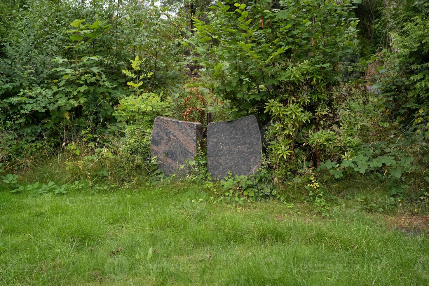 vieux cimetière dans la forêt photo