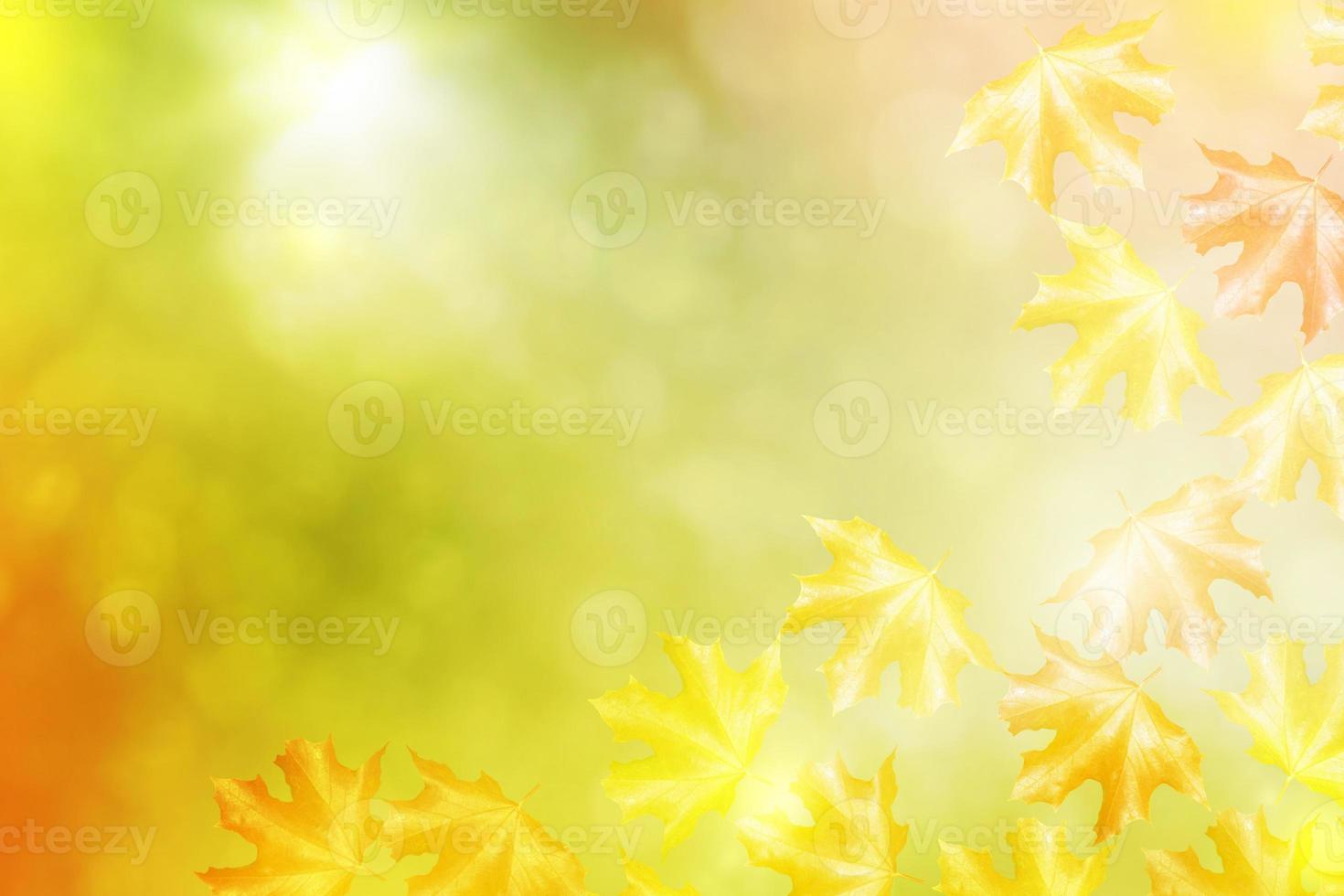 paysage d'automne avec un feuillage coloré et lumineux. été indien. photo