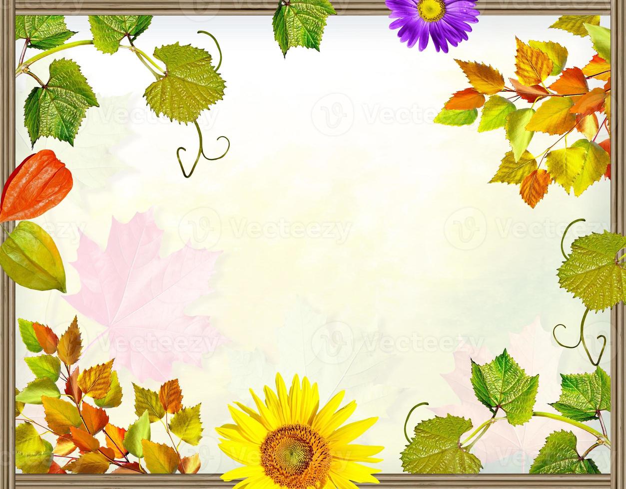 cadre de fleurs et de feuillages photo
