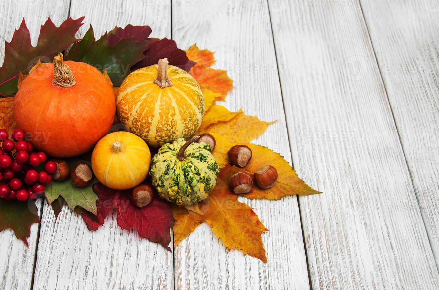 citrouille et feuilles photo