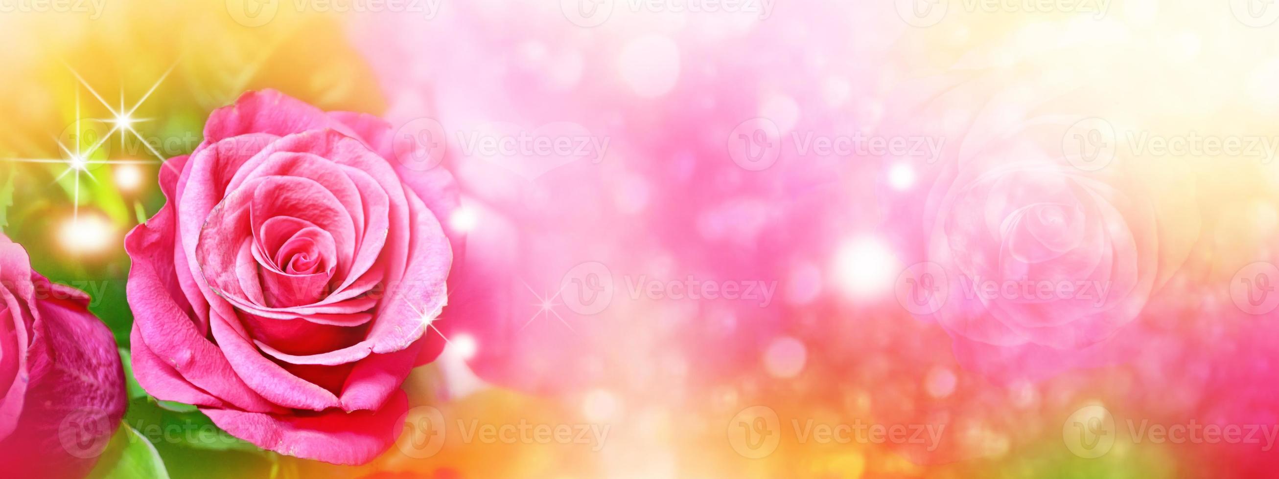 boutons floraux colorés de roses sur un paysage d'été de fond. photo