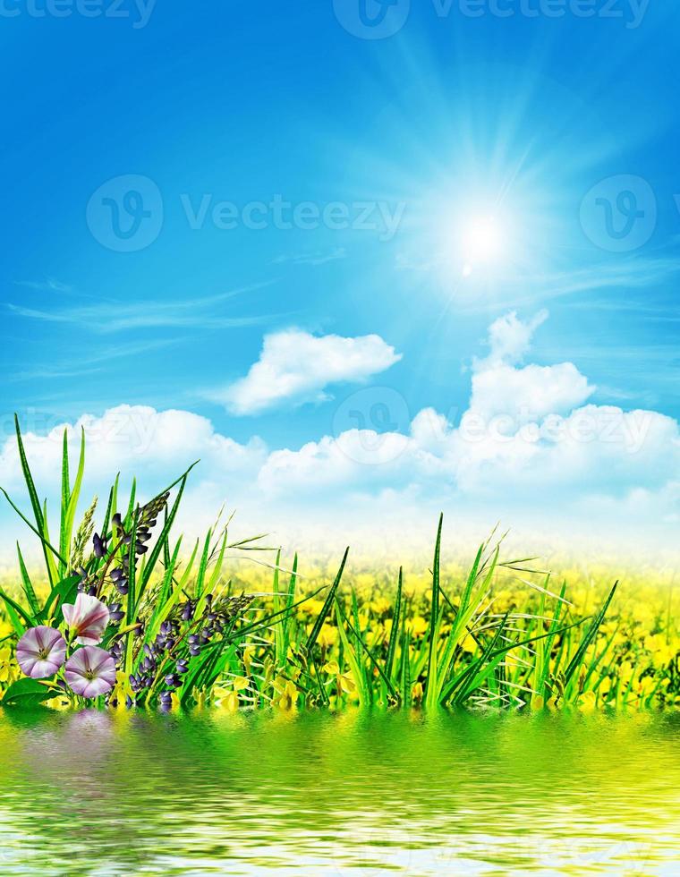 paysage d'été avec des fleurs des champs sur fond de ciel bleu et de nuages photo