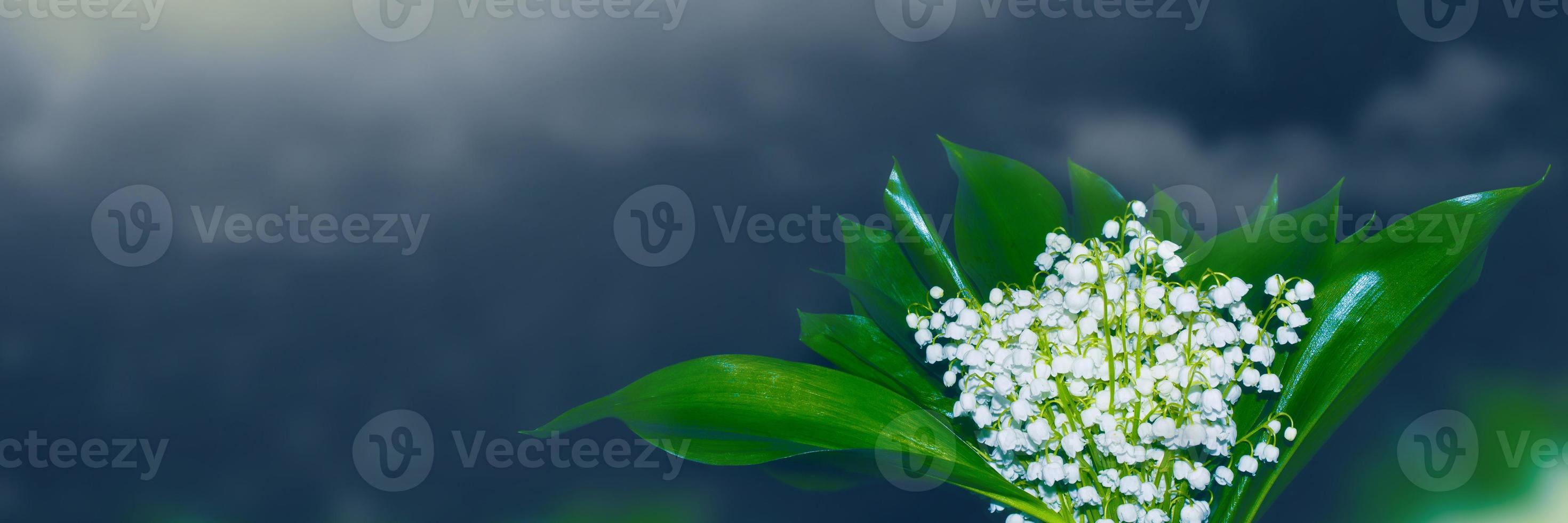 paysage de printemps. fleurs muguet photo