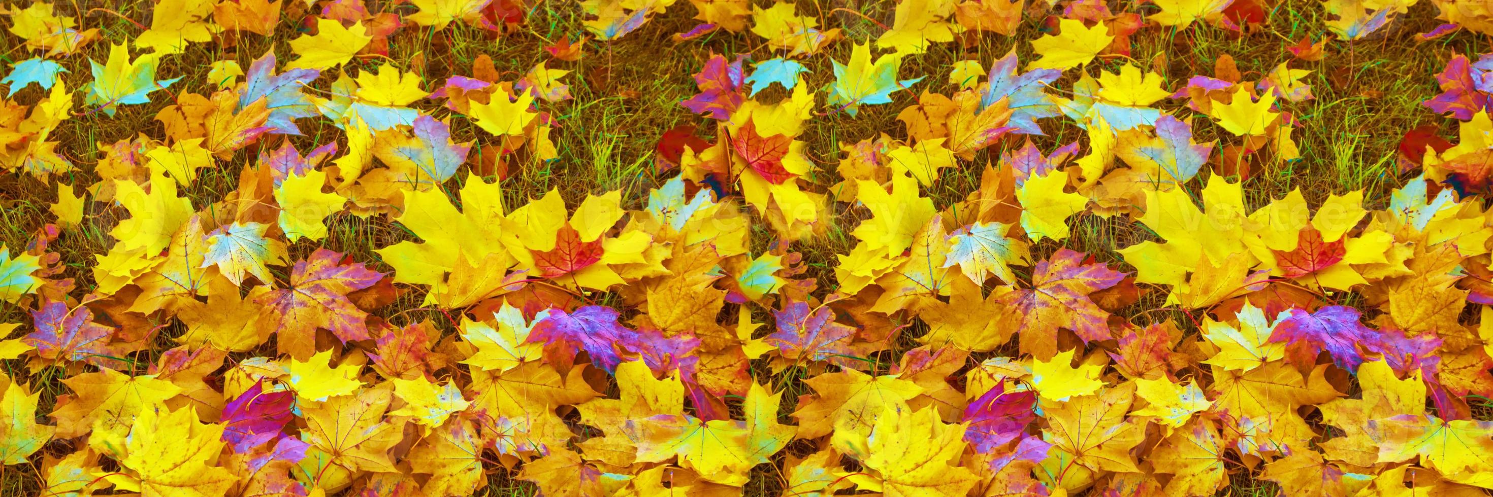 fond d'automne avec des feuilles colorées lumineuses. photo