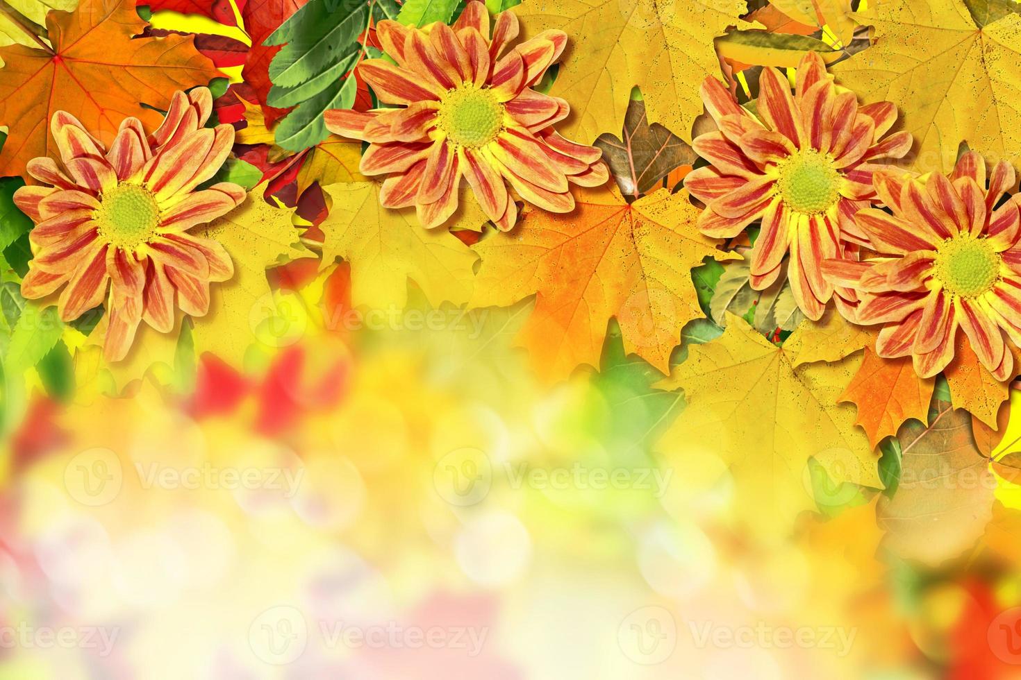 fond abstrait de feuilles d'automne photo