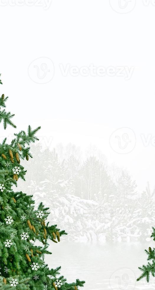 forêt sous le gel. paysage d'hiver. arbres couverts de neige photo