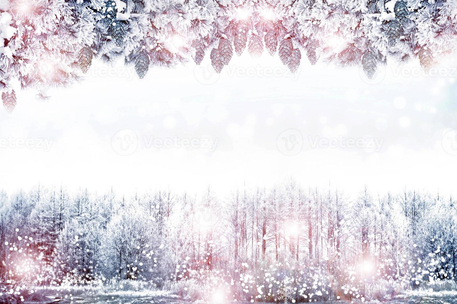 paysage d'hiver. carte de Noël. photo