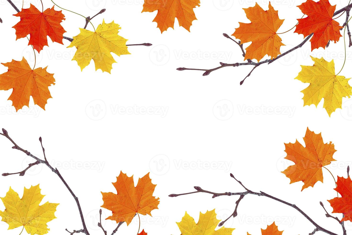 fond d'automne avec des feuilles colorées lumineuses. photo