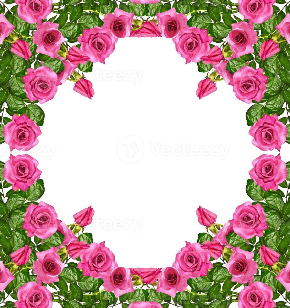 les bourgeons de fleurs roses. photo