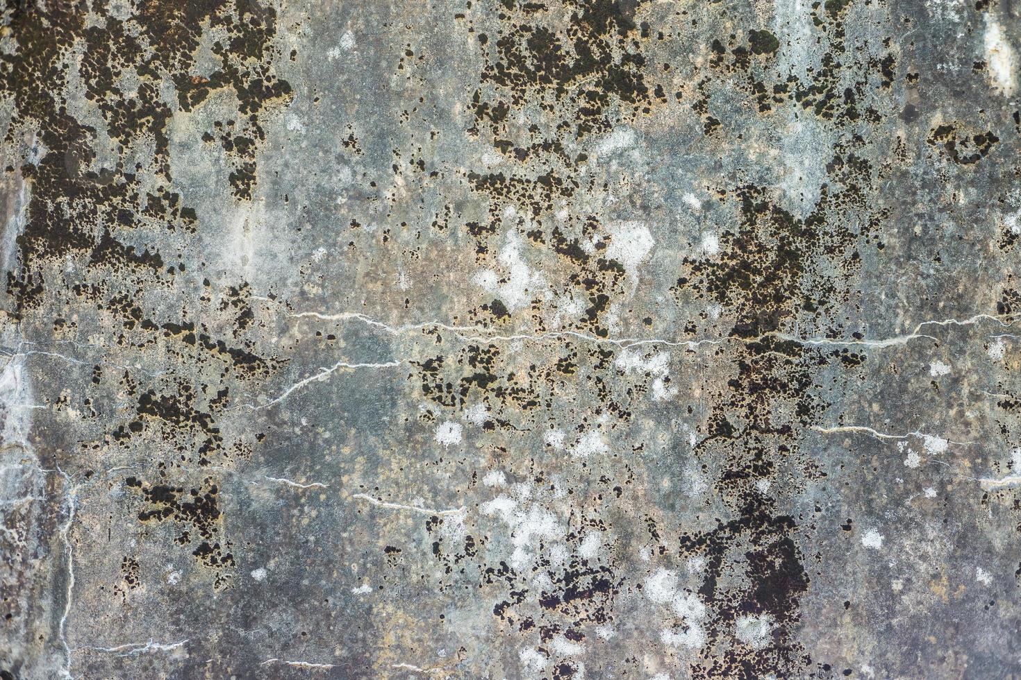 surface du mur gris en béton d'une forteresse militaire dans des fissures couvertes de mousse photo