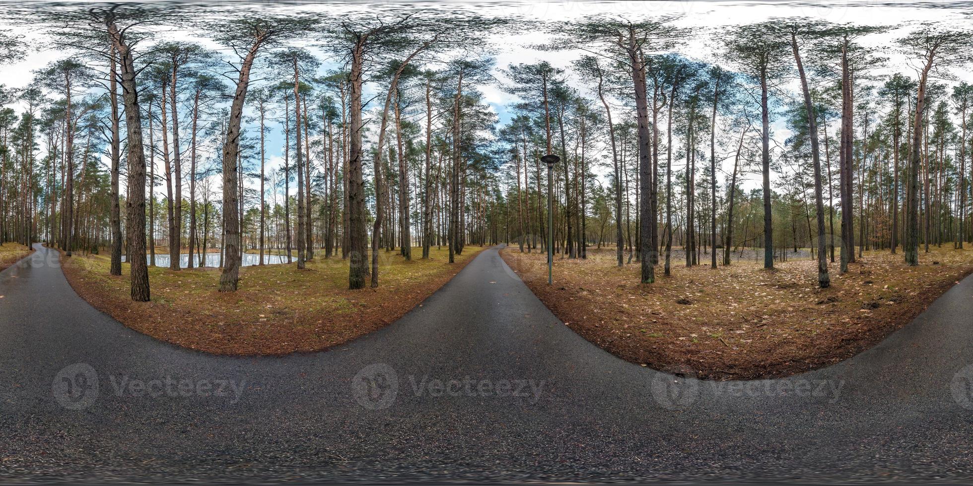 panorama hdri sphérique complet vue d'angle à 360 degrés sur le sentier piétonnier asphalté et la piste cyclable dans la forêt de pins en projection équirectangulaire. contenu vr ar photo