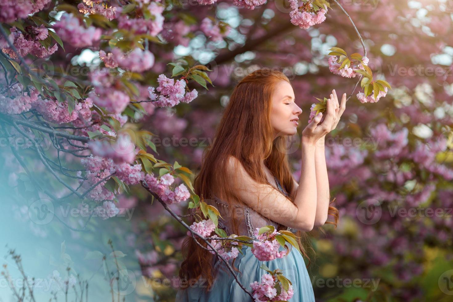 belle femme enceinte dans un jardin fleuri photo