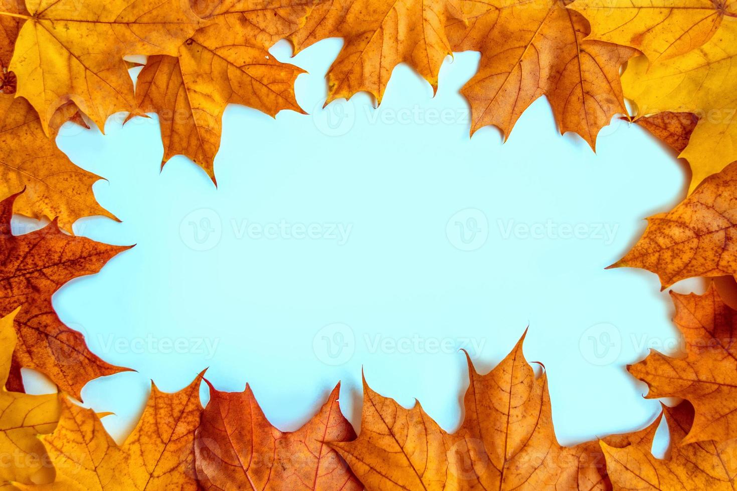 paysage d'automne avec un feuillage coloré et lumineux. été indien. photo