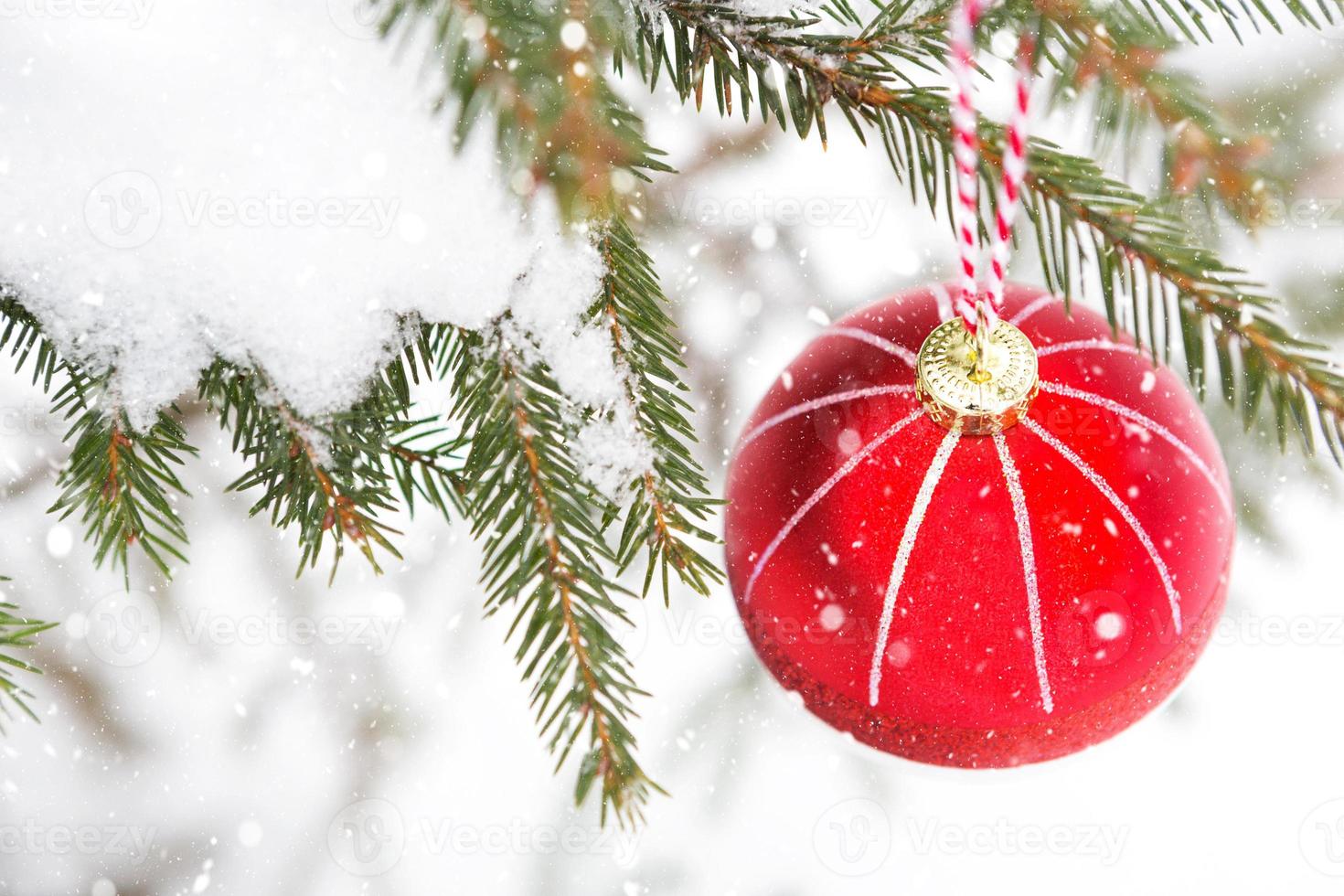 une boule de noël rouge sur une branche d'épinette naturelle recouverte de neige. noël, nouvel an en plein air. chutes de neige, ambiance festive de contes de fées et de magie, décoration de rue. photo