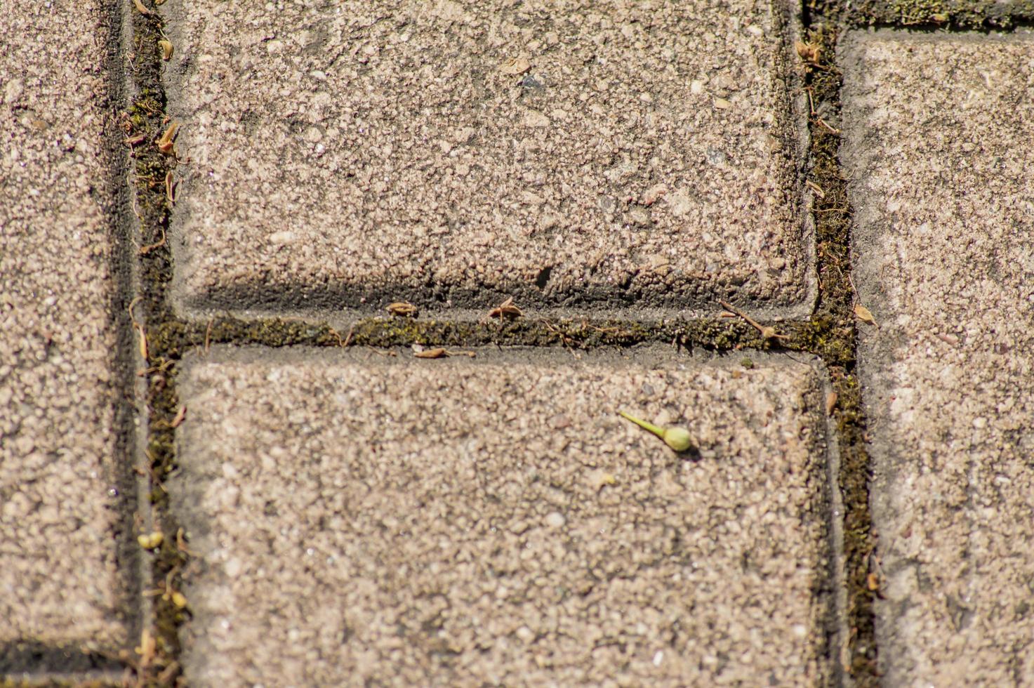 Libre de briques de la chaussée photo