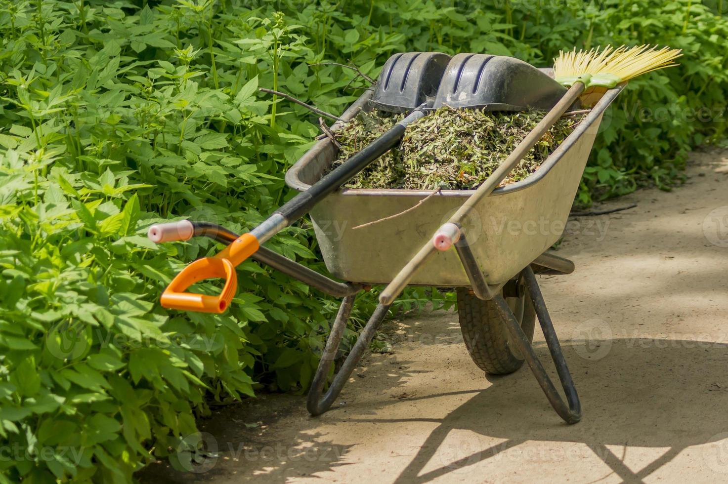 brouette de jardin remplie de feuilles sèches et d'outils de jardin dessus. photo