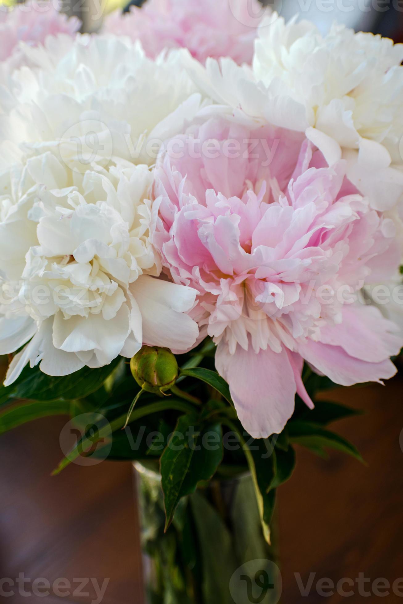 élégant bouquet de pivoines blanches et roses dans un vase. délicates pivoines  blanches et roses. 10722956 Banque de photos