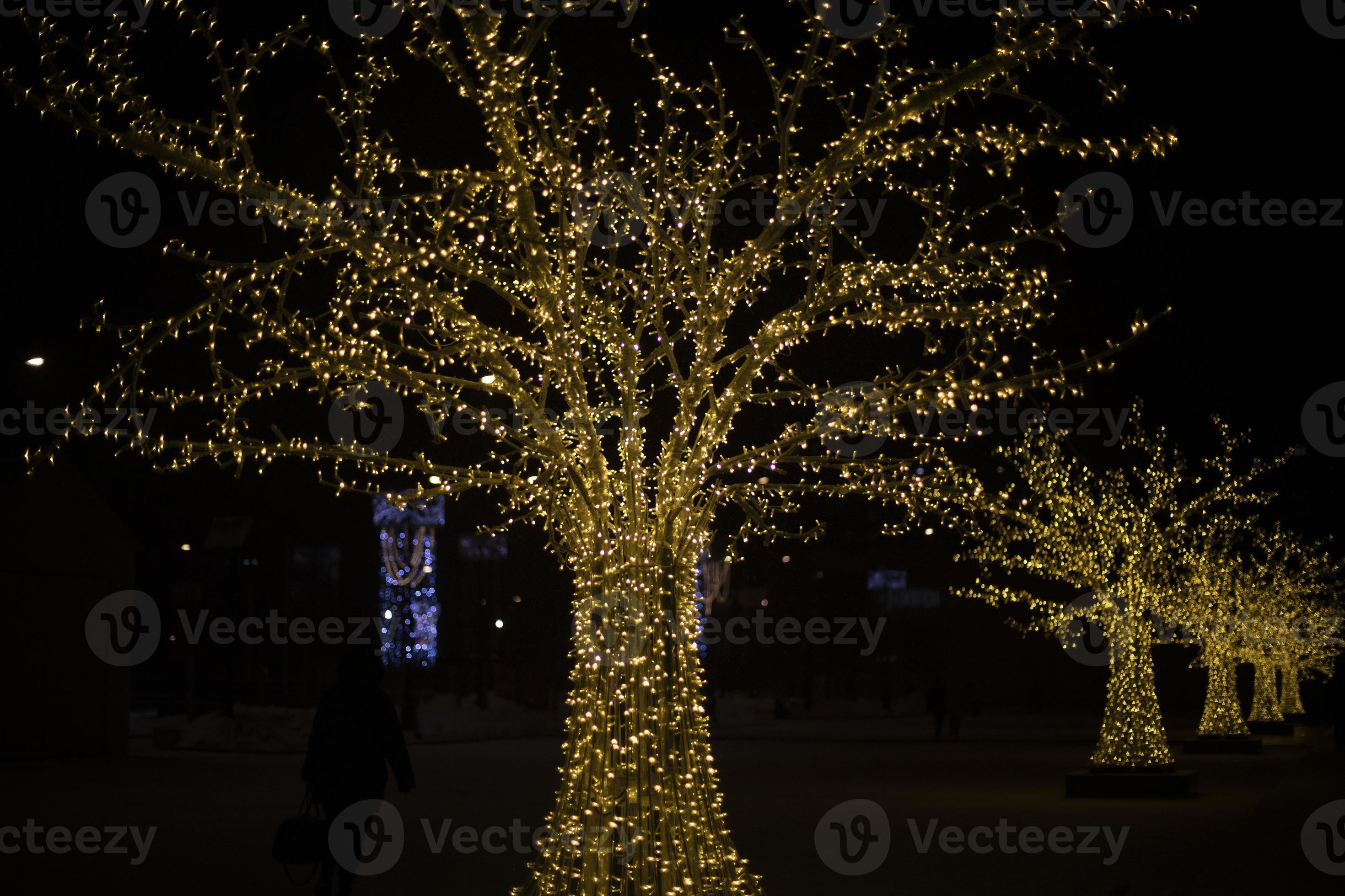 boules lumineuses pour la décoration. les guirlandes brillent dans le noir.  sphères transparentes avec lampes. 11141890 Photo de stock chez Vecteezy