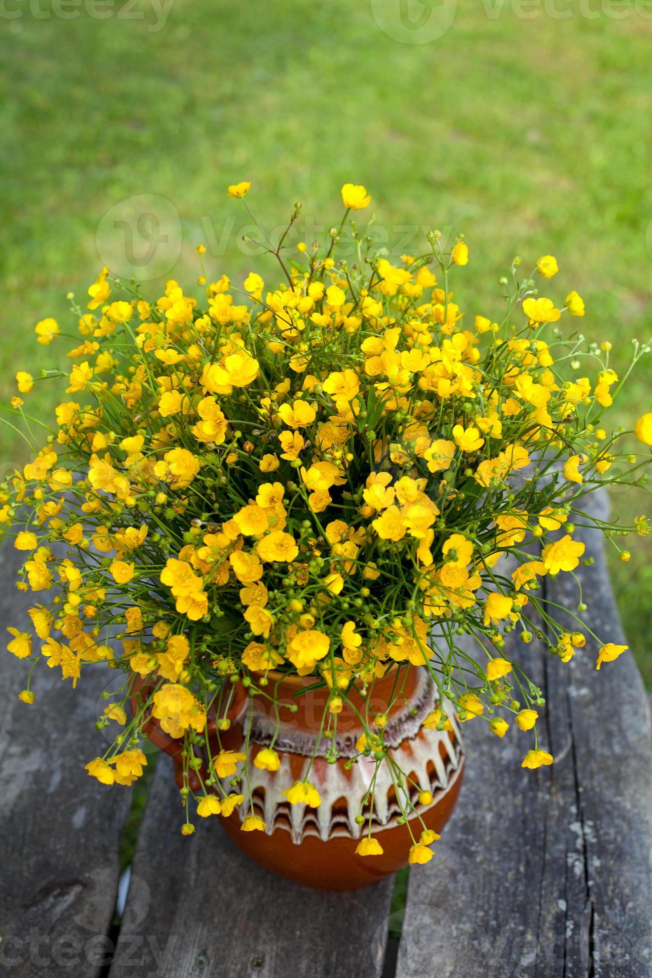 grand bouquet de fleurs de butercup jaune 1382498 Banque de photos
