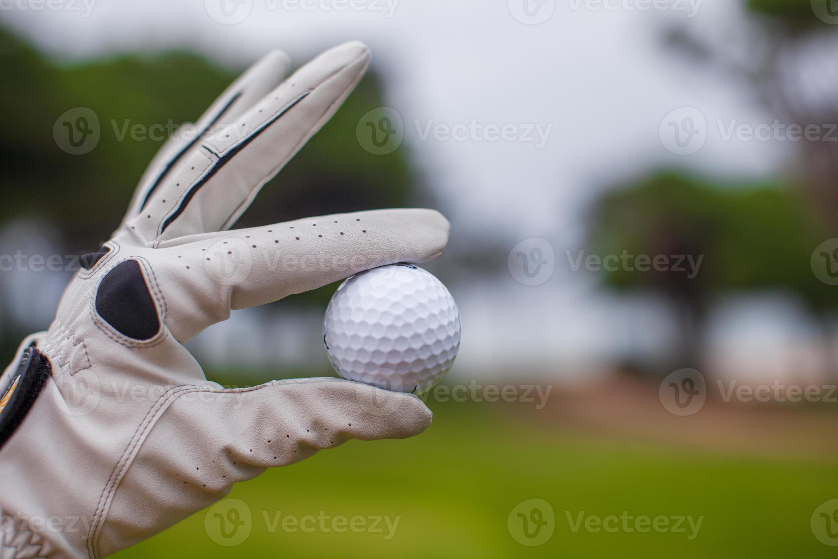 Main Tenir Une Balle De Golf Homme Golfeur Avec Gant De Golf Joueur De Golf  Masculin Sur Un Parcours De Golf Professionnel