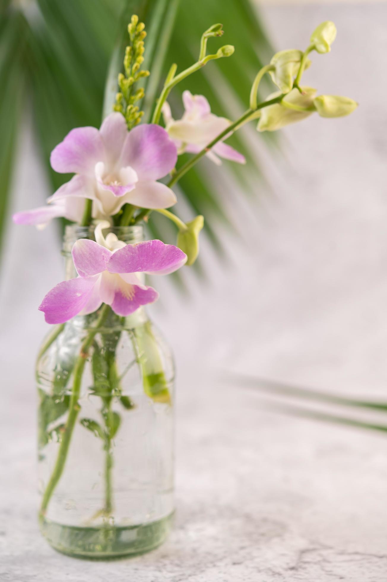 orchidée violette dans une bouteille en verre photo