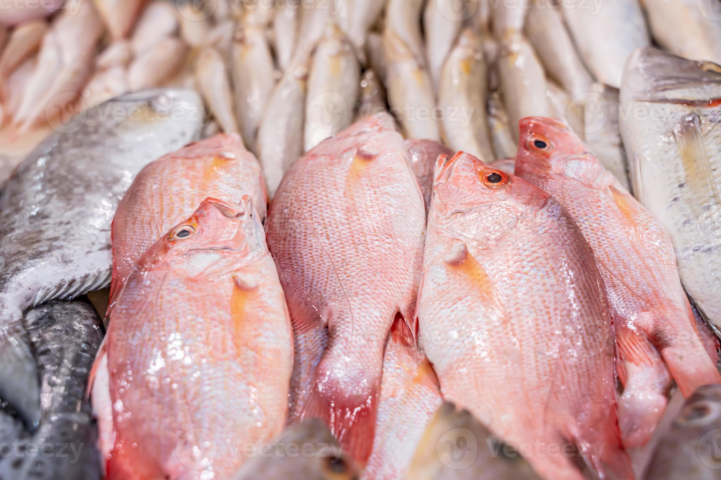 Red Snapper Poisson Frais Au Marché Du Poisson Sur La Glace Banque D'Images  et Photos Libres De Droits. Image 49905768