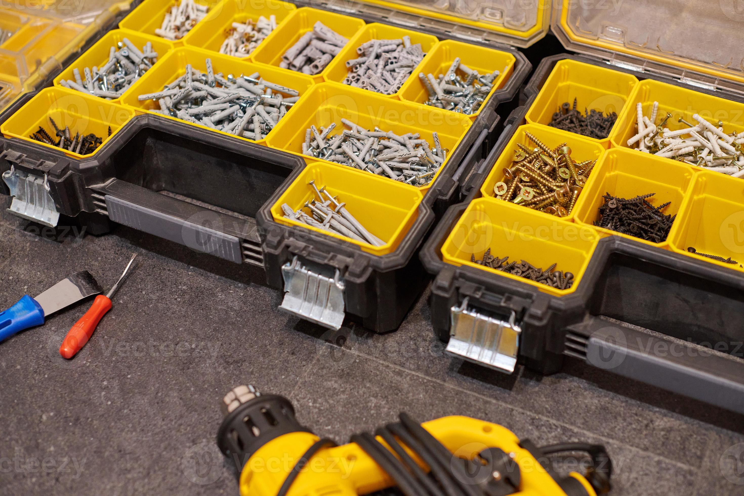 Vis, Boulons, écrous Et Autres Objets De Menuiserie Dans Une Boîte à Outils  En Plastique (organisateur De Matériel). Stock Photo.