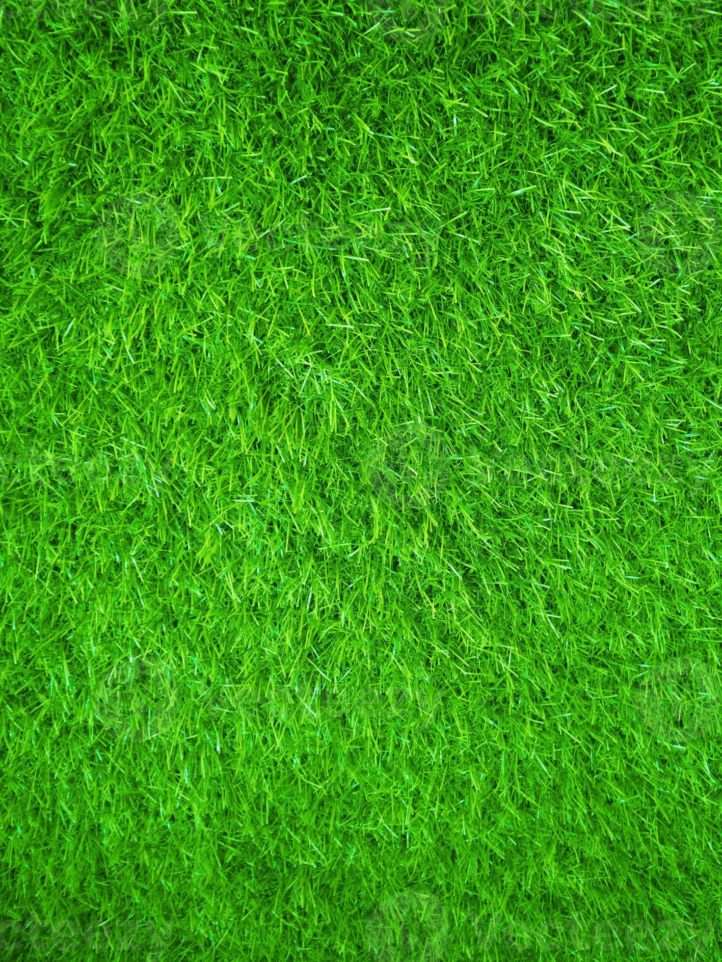 Toile de fond de but d'herbe verte de terrain de football pour la phot –